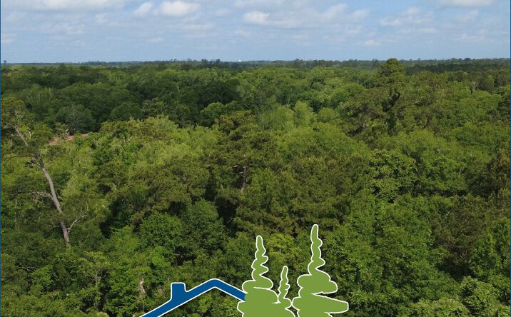 Pictures of Land property located at Carpenter's Landing Road, Hammond, LA 70403 for sales - image #1