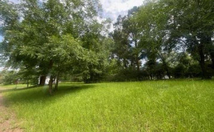 Pictures of Land property located at Matilda Dr, Troup, TX 75789 for sales - image #1