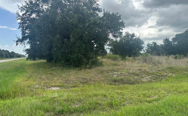 Pictures of Land property located at 0 NW 313th Street NW, Okeechobee, FL 34972 for sales - image #1