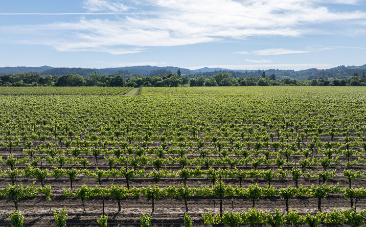 Pictures of Land property located at 374 Kinley Drive, Healdsburg, CA 95448 for sales - image #1