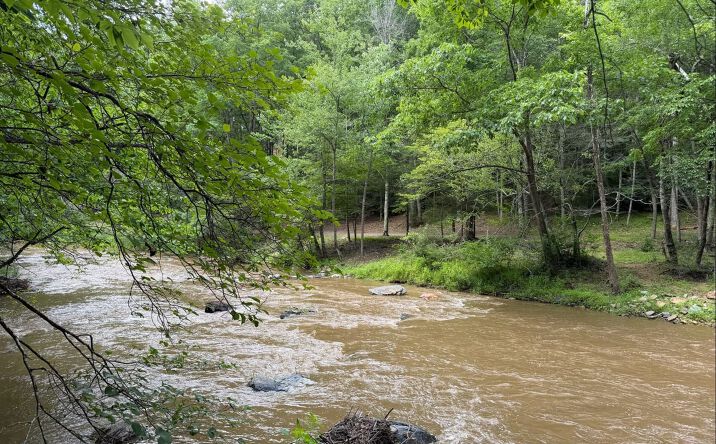 Pictures of Land property located at Tbd Buzzard Roost Ln, Hillsville, VA 24343 for sales - image #1