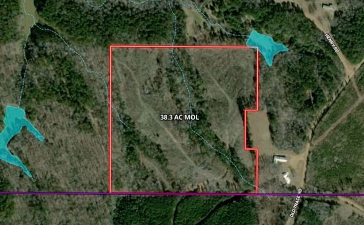 00 Lewis Rd And Old Trace Rd, Mathiston