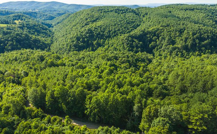 Pictures of Land property located at TBD Sawmill Hill Rd, Willis, VA 24380 for sales - image #1