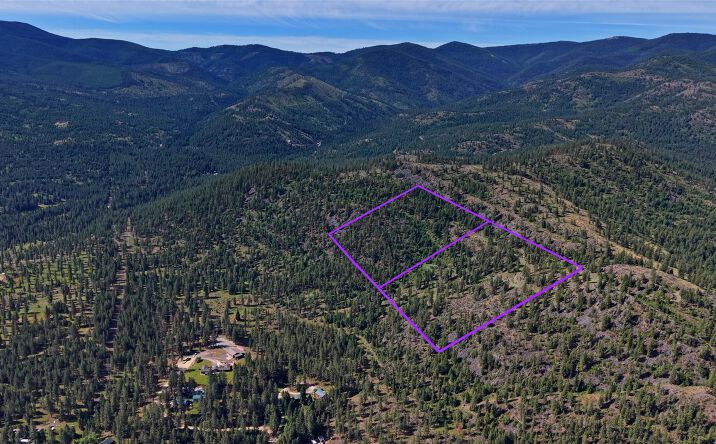 Pictures of Land property located at NHN TRACT 2 & TRACT 3, PLAINS, MT 59859 for sales - image #1