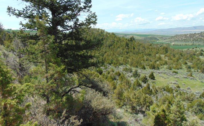 TBD Lone Wolf Trail, THREE FORKS