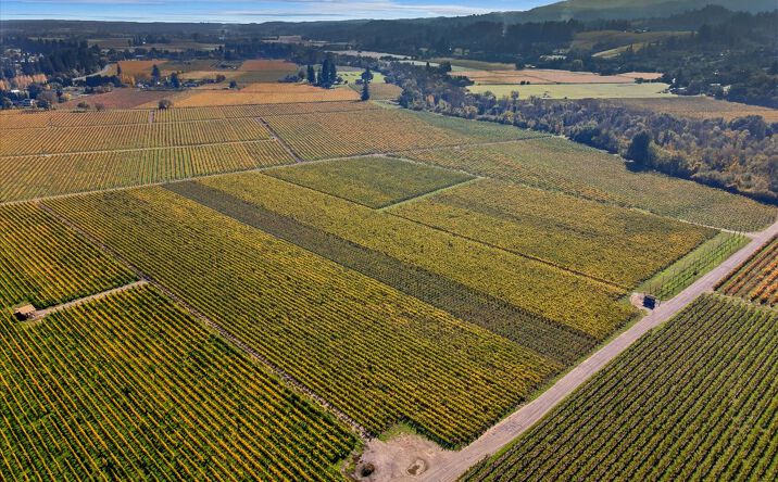 Pictures of Land property located at 636 Dry Creek Road, Healdsburg, CA 95448 for sales - image #1