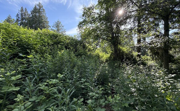 Pictures of Land property located at 2229 97th St SE, Lake Stevens, WA 98258 for sales - image #1