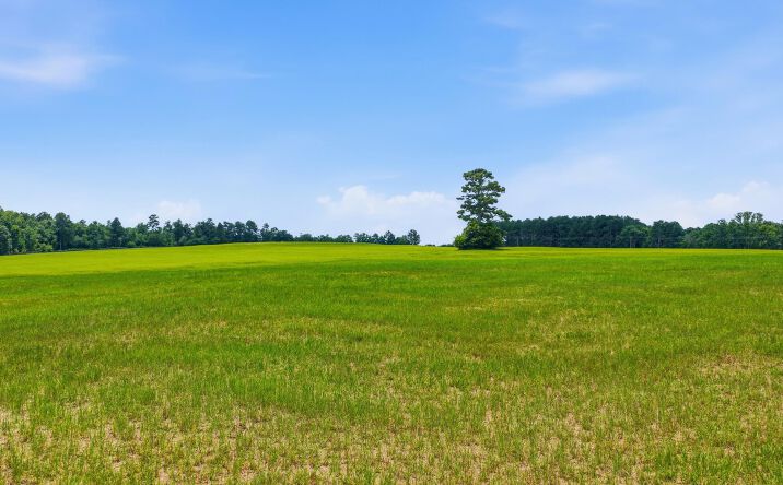 Pictures of Land, Mixed Use property located at Bodie Road, Wagener, SC 29164 for sales - image #1