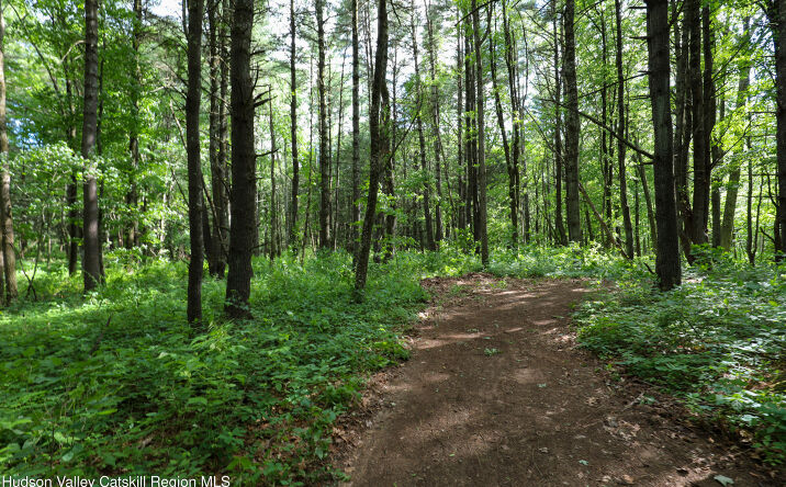 Pictures of Land property located at TBD Old Kings Road, Catskill, NY 12414 for sales - image #1