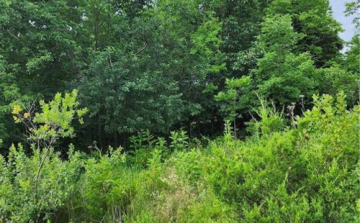 Pictures of Land, Special Purpose, Multifamily property located at 9 E Ridgewood Circle, Linn Valley, KS 66040 for sales - image #1