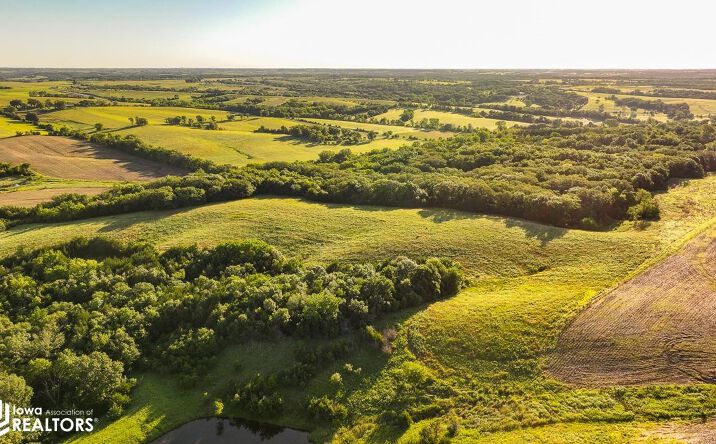 Pictures of Land property located at 0000 158th Avenue, Grand River, IA 50108 for sales - image #1