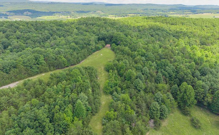 Pictures of Land, Multifamily property located at TBD Locust Hill Rd, Max Meadows, VA 24360 for sales - image #1