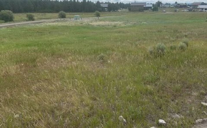 Pictures of Land property located at TBD Moose Dr West, Hebgen Lake Estates, MT 59758 for sales - image #1