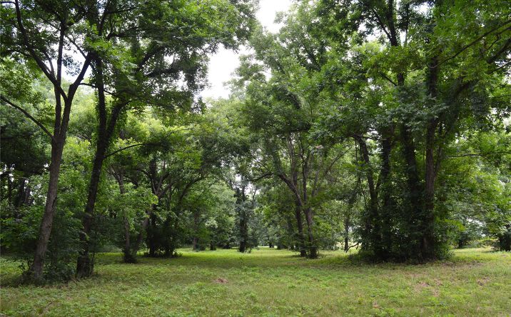 Pictures of Land property located at 64 S Highway 109, Hugo, OK 74743 for sales - image #1