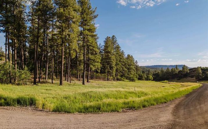 Pictures of Land property located at 359 Ironwood Dr, Pagosa Springs, CO 81147 for sales - image #1
