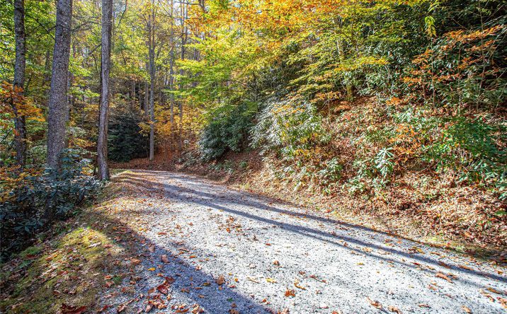 Pictures of Land property located at TBD Reserve Road 9A, Brevard, NC 28712 for sales - image #1