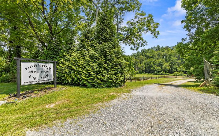 Pictures of Special Purpose property located at 442 Blantyre Church Road, Horse Shoe, NC 28742 for sales - image #1