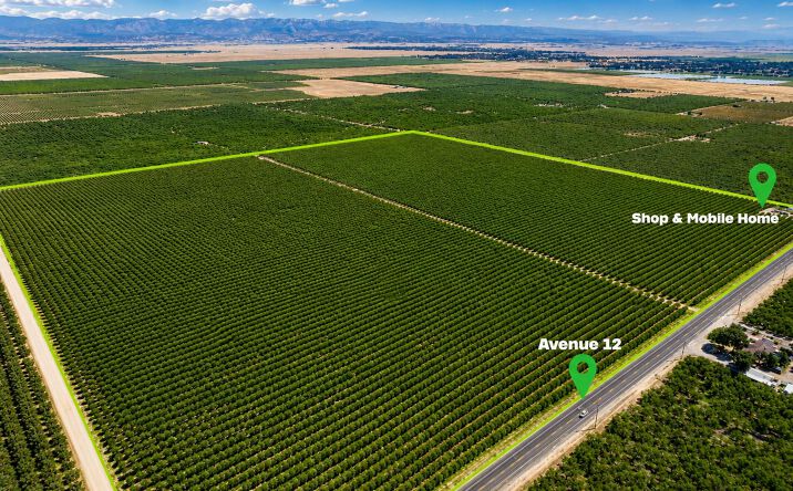 Pictures of Land property located at 32487 Avenue 12, Madera, CA 93636 for sales - image #1