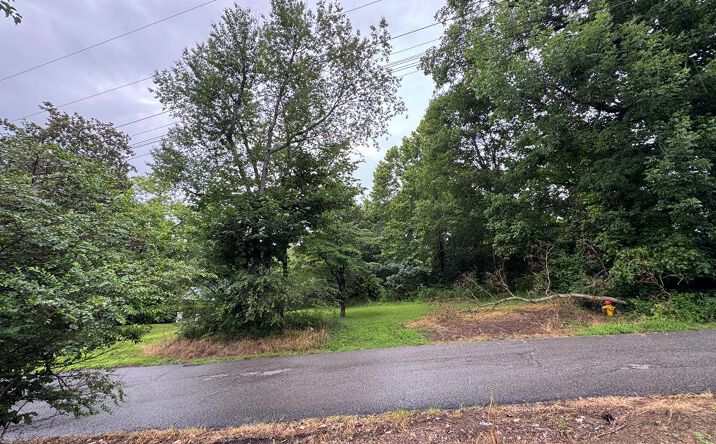 Pictures of Land, Multifamily property located at 133 Market Street, Erin, TN 37061 for sales - image #1