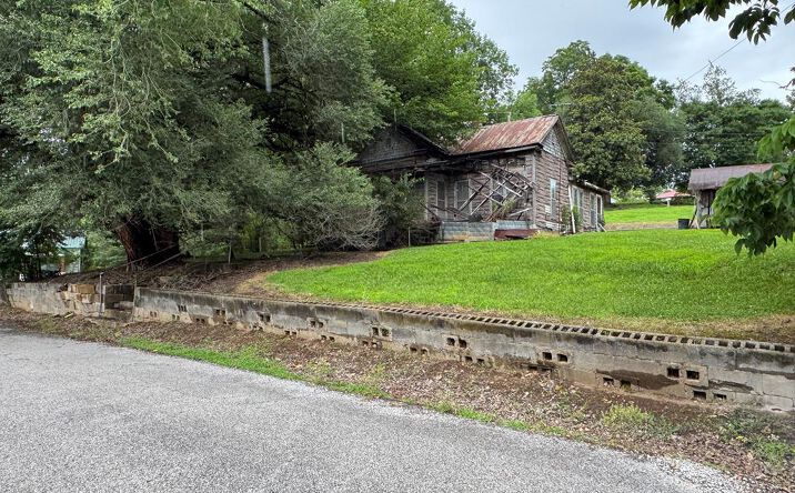 Pictures of Land, Multifamily property located at 202 Hill Street, Erin, TN 37061 for sales - image #1
