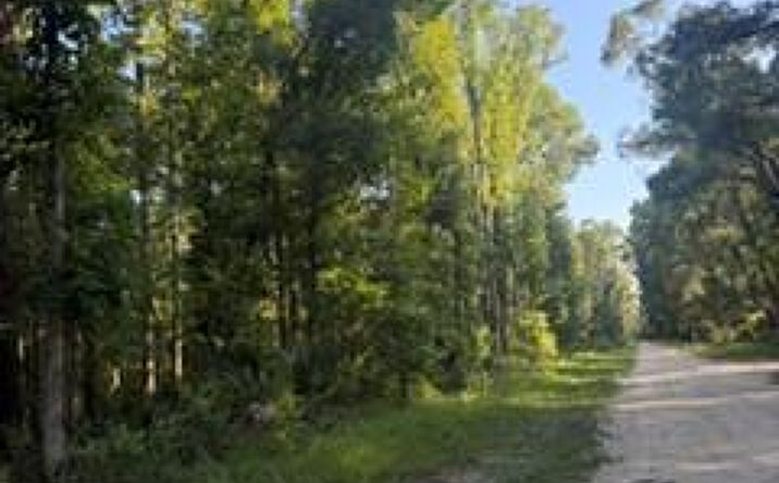 Pictures of Land property located at NE 667th St, Old Town, FL 32680 for sales - image #1