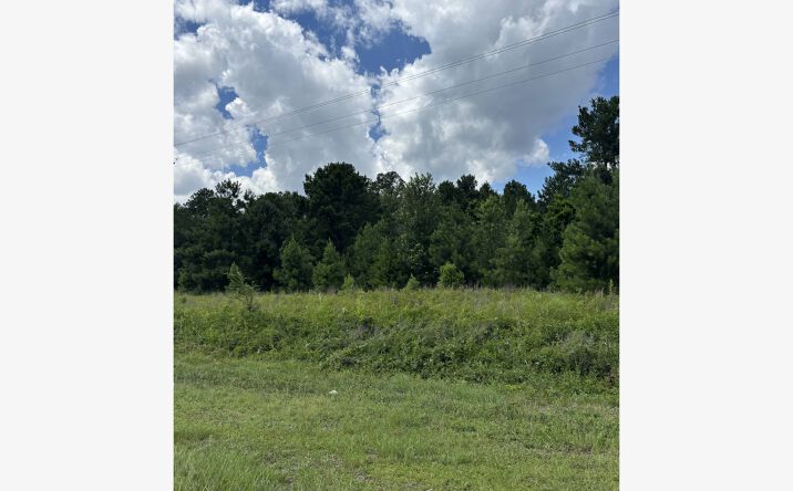 Pictures of Land property located at 4315 Thomas Sumter Highway, Dalzell, SC 29040 for sales - image #1