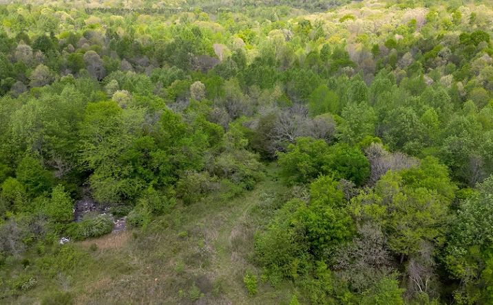 Pictures of Land property located at County Road 298, Florence, AL 35634 for sales - image #1