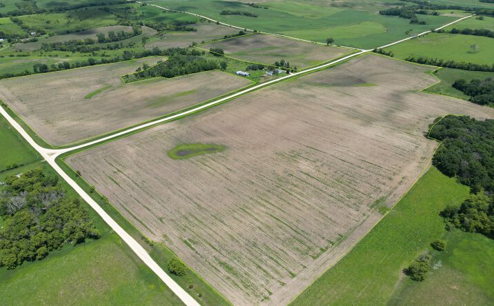 Pictures of Land property located at 157th Street, Wadena, IA 52169 for sales - image #1