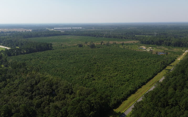 Pictures of Land property located at Bush Road Tract in Path of Growth, Savannah, GA 31419 for sales - image #1