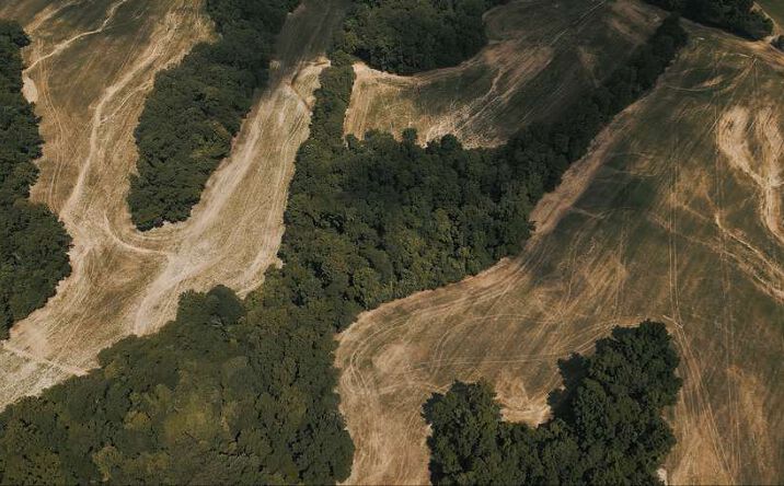 Pictures of Land property located at DUPLICATE, Drummonds, TN 38023 for sales - image #1
