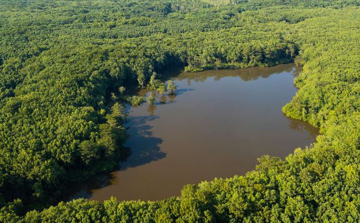Pictures of Land property located at 0 Chisholm Lake Rd., Ripley, TN 38063 for sales - image #1