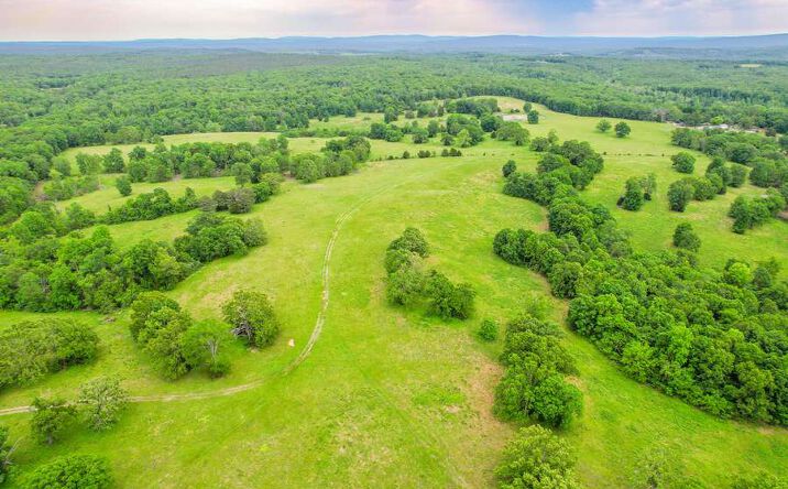 Pictures of Land property located at 0 Top Ozark Rd., Belgrade, MO 63622 for sales - image #1