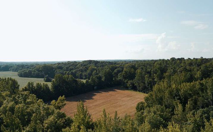 Pictures of Land property located at 0 Woods Cemetery Rd., Hickory Valley, TN 38042 for sales - image #1