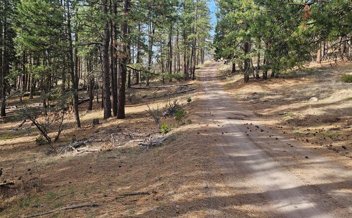 Pictures of Land property located at Seal Ln, Bonanza, OR 97623 for sales - image #1