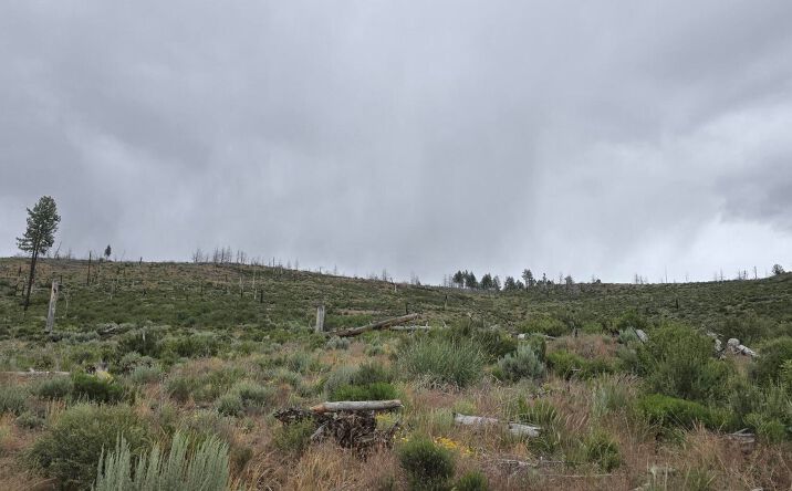 Pictures of Land property located at Ram Rd, Chiloquin, OR 97624 for sales - image #1