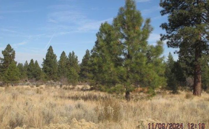 Pictures of Land property located at 0 Sundance Drive, 25, Chiloquin, OR 97624 for sales - image #1
