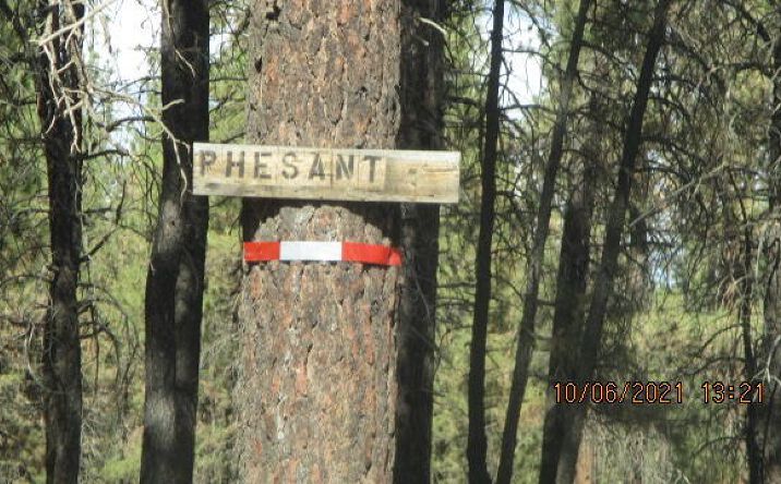 Pictures of Land property located at 0 Pheasant Lane, 16, Chiloquin, OR 97624 for sales - image #1
