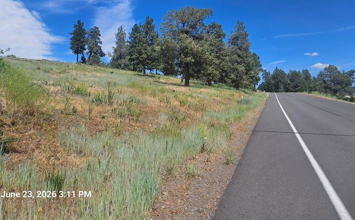 Pictures of Land property located at 0 Crossbill Drive 1054, Klamath Falls, OR 97601 for sales - image #1