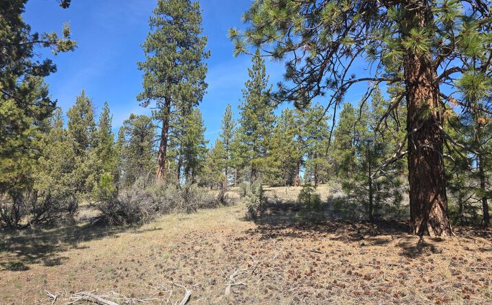 Pictures of Land property located at 39 Widgeon Drive, Bonanza, OR 97623 for sales - image #1