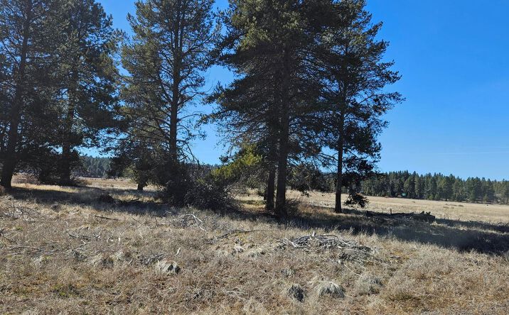 Pictures of Land property located at 0 Longhorn Loop #25, Chiloquin, OR 97624 for sales - image #1