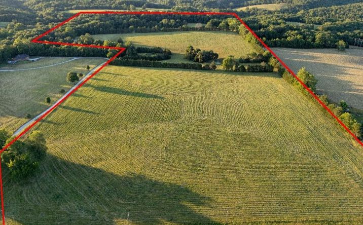 Pictures of Land property located at 000 State Highway O, Highlandville, MO 65669 for sales - image #1