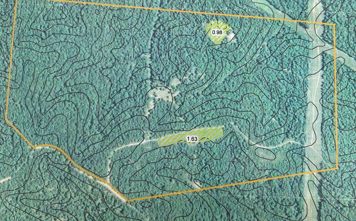 Pictures of Land property located at TBD County Road 502, Ellington, MO 63638 for sales - image #1