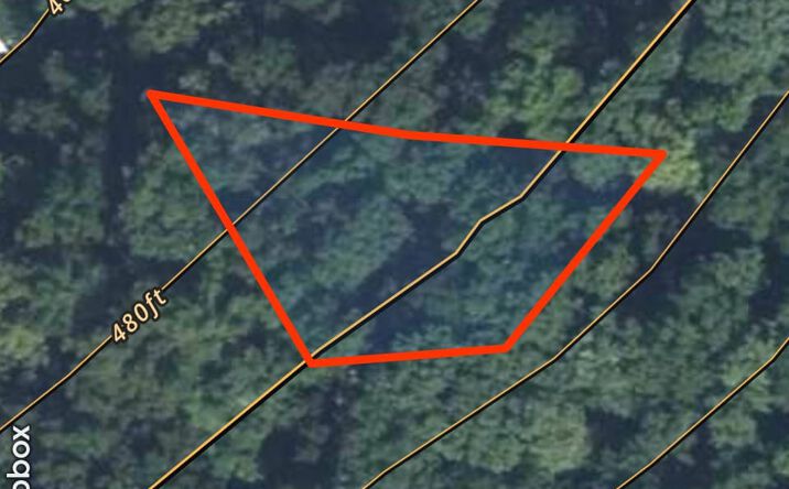 Pictures of Land property located at TBD Wayne, Piedmont, MO 63957 for sales - image #1