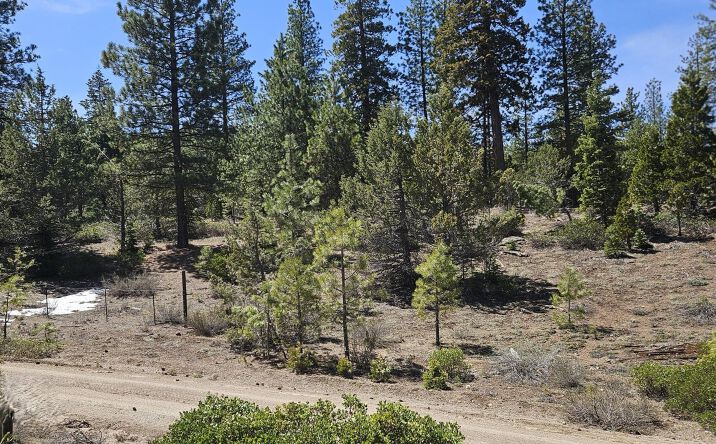 Pictures of Land property located at Lot 8 Seal Lane, Bonanza, OR 97623 for sales - image #1