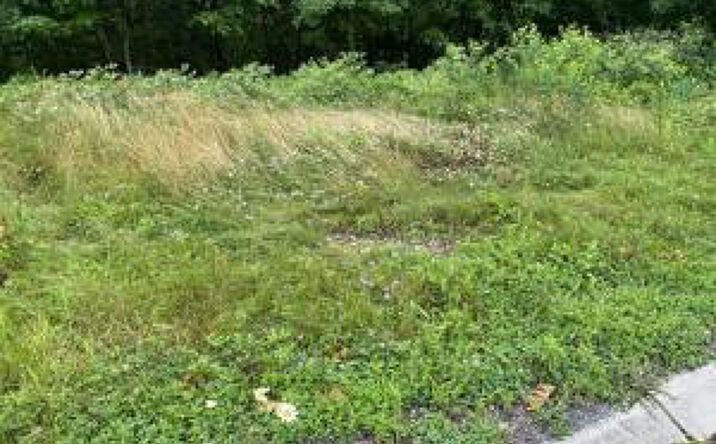 Pictures of Land property located at Lot 71 Queens Way, Altoona, PA 16601 for sales - image #1