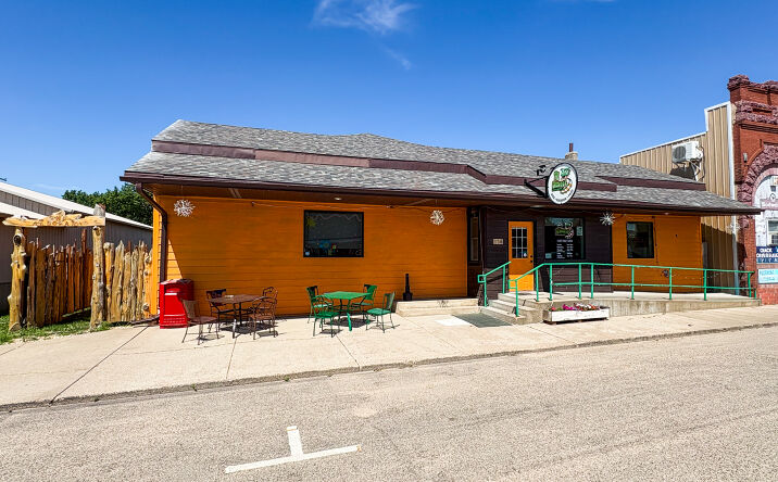 Pictures of Retail, Business for Sale property located at 214 South Main Avenue, Hills, MN 56138 for sales - image #1