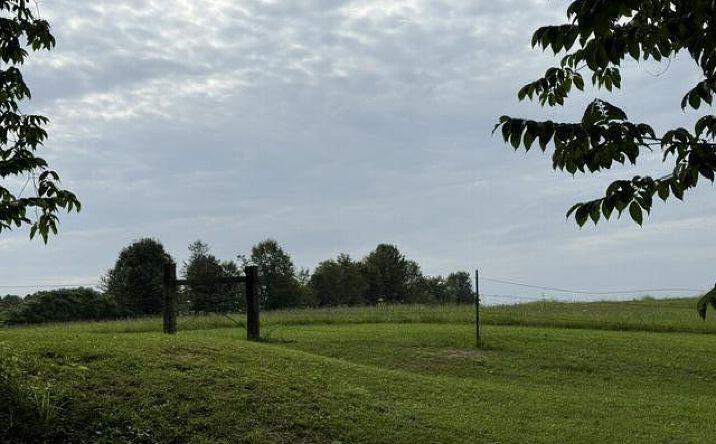 Pictures of Land property located at 1069 Cotton Grove Road, Jackson, TN 38305 for sales - image #1