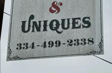 33994225
