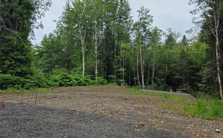 Pictures of Land property located at 6699 Karjala Rd, Aberdeen, WA 98520 for sales - image #1