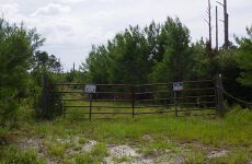 34002242